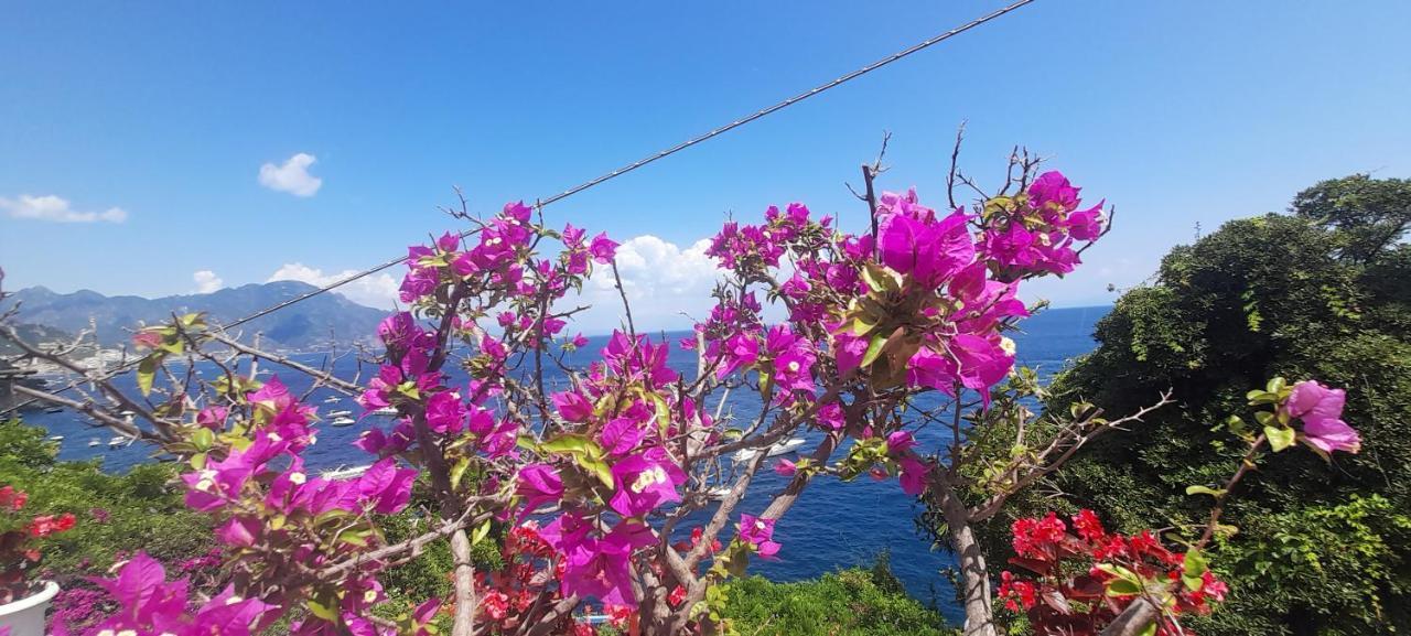 Villa Gianna Amalfi Coast Conca dei Marini Exterior foto
